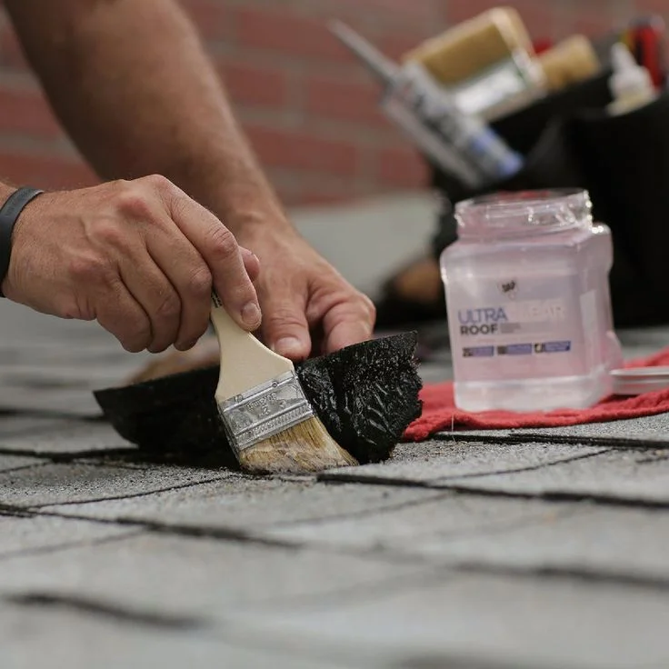 Waterproofing & Damp Treatment In Jindpur, Delhi